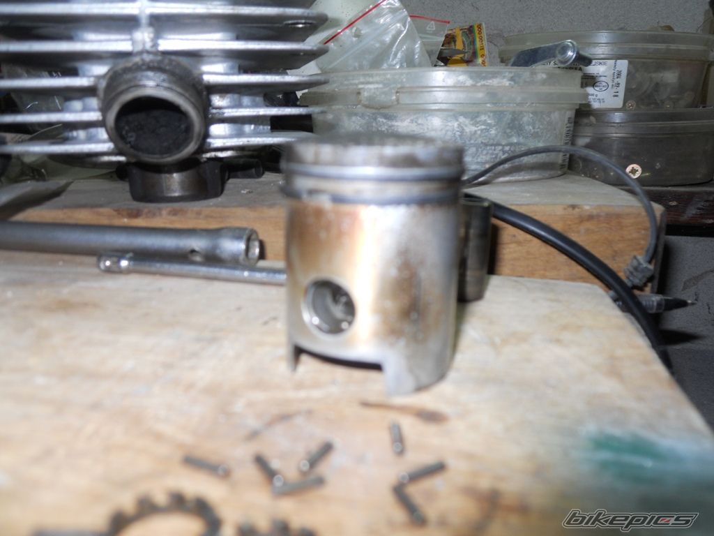 Photo 2440564