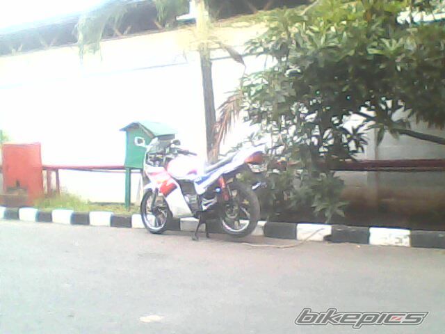 Photo 2440569