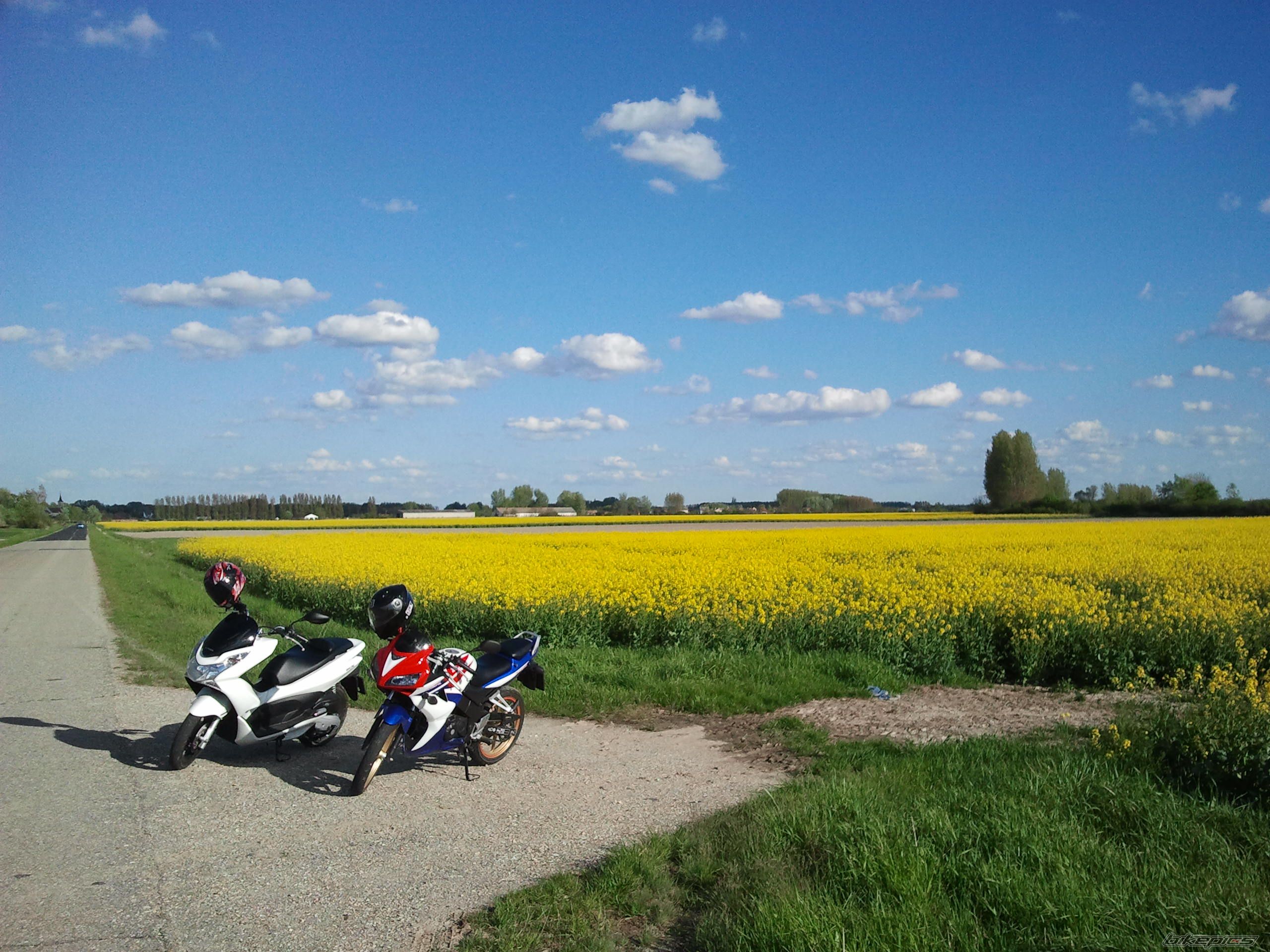 Photo 2440666