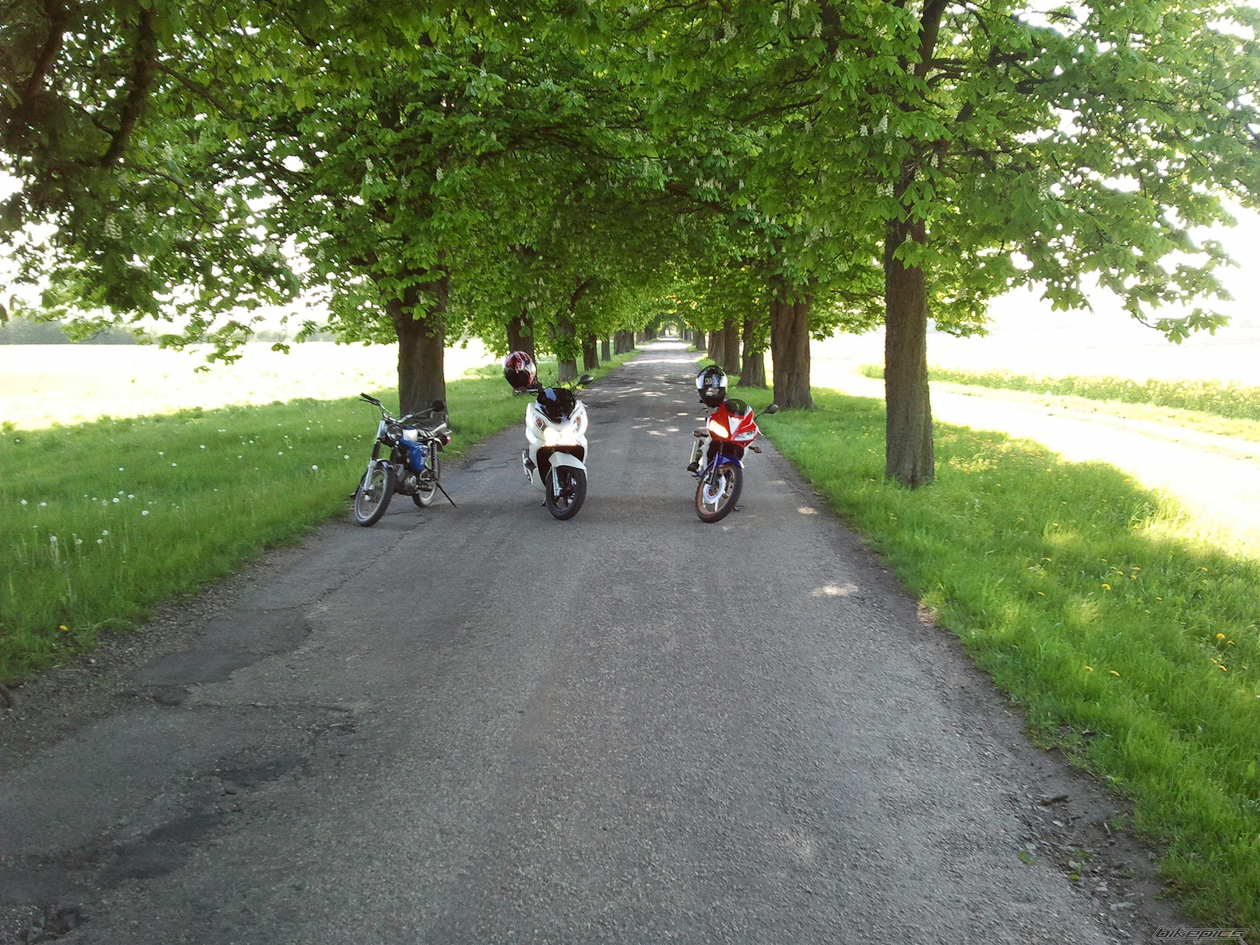 Photo 2440667