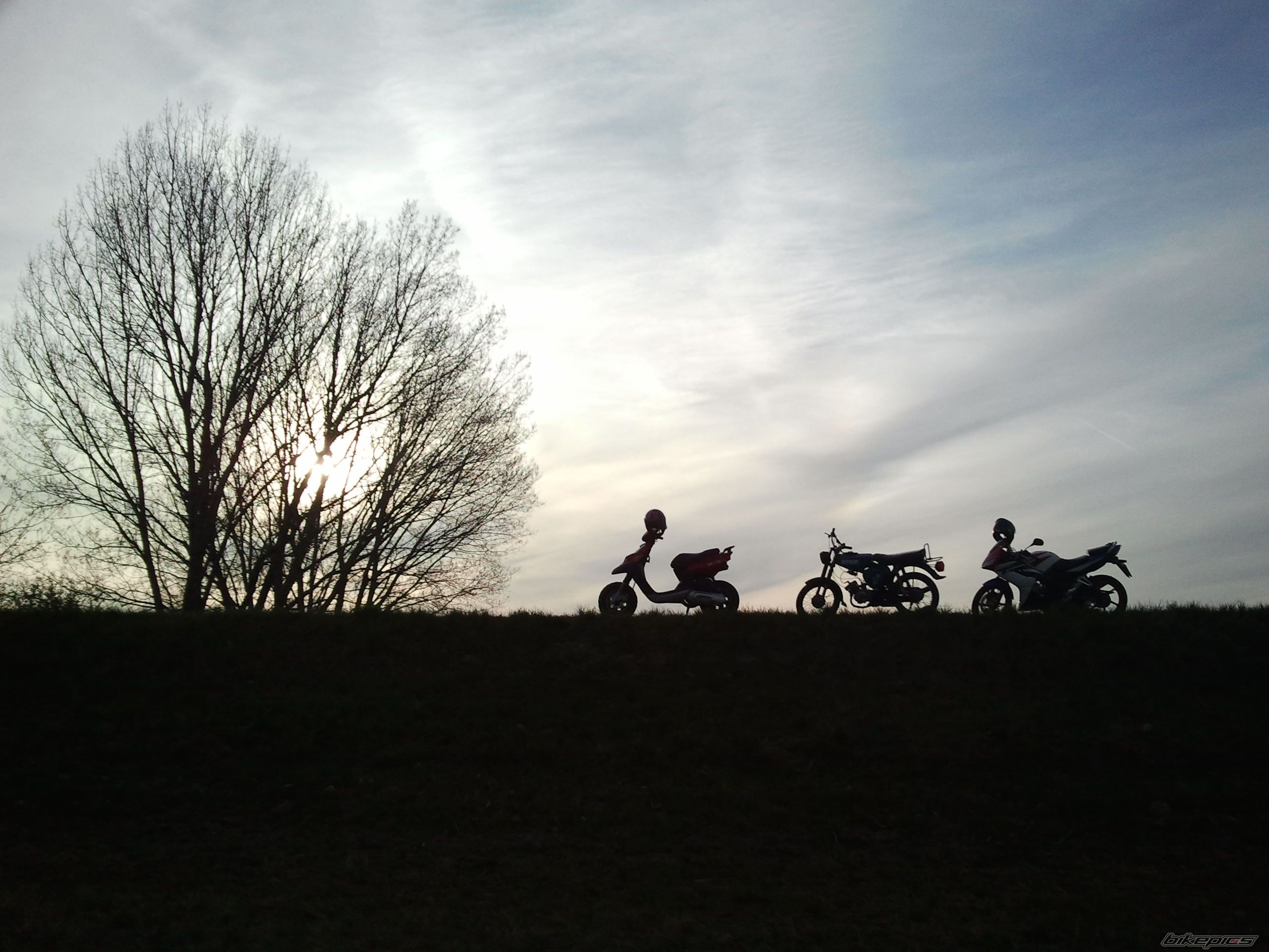 Photo 2440669
