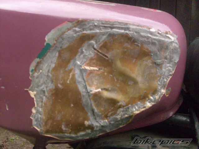 Photo 2440723