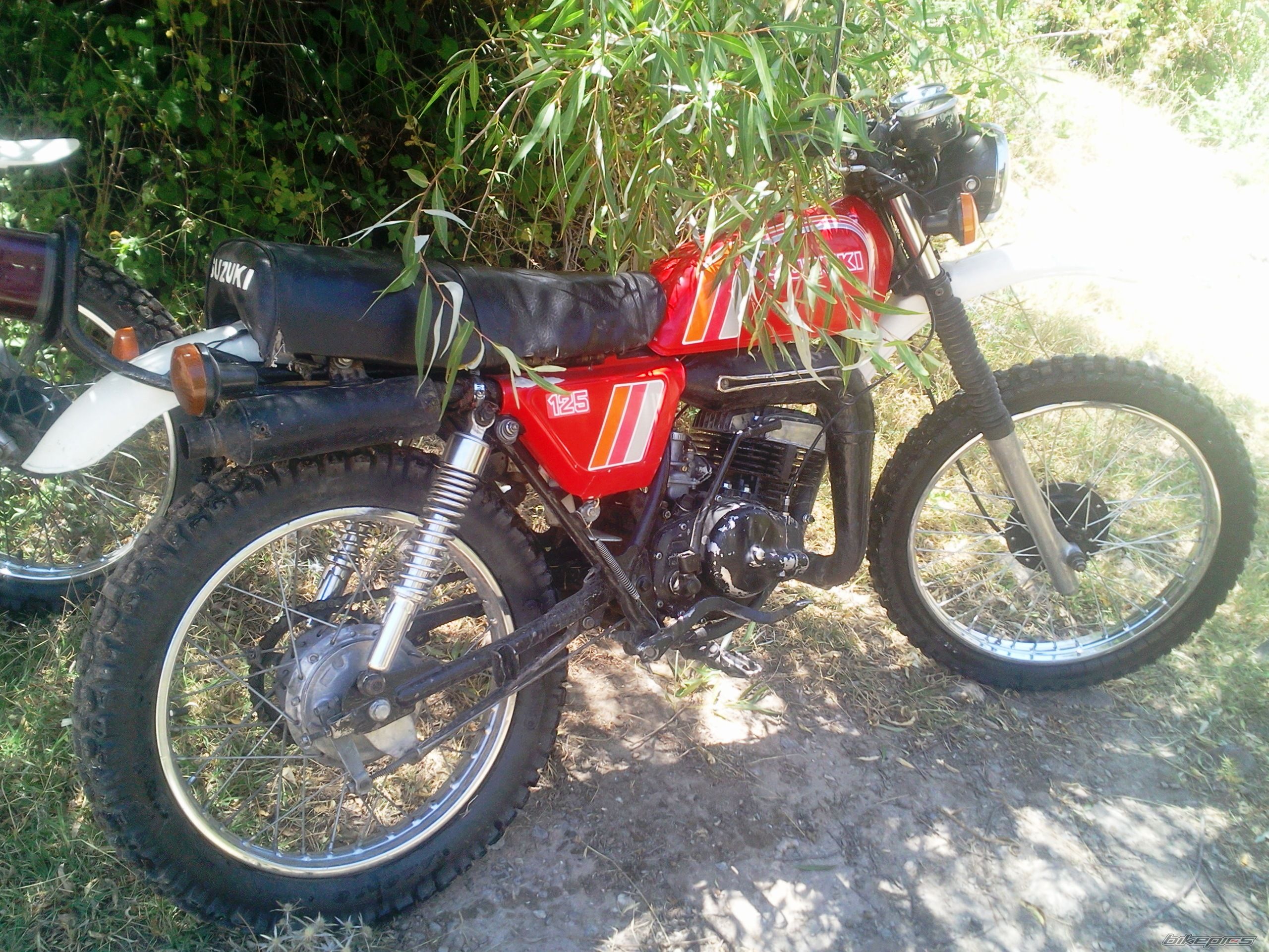 Photo 2440758