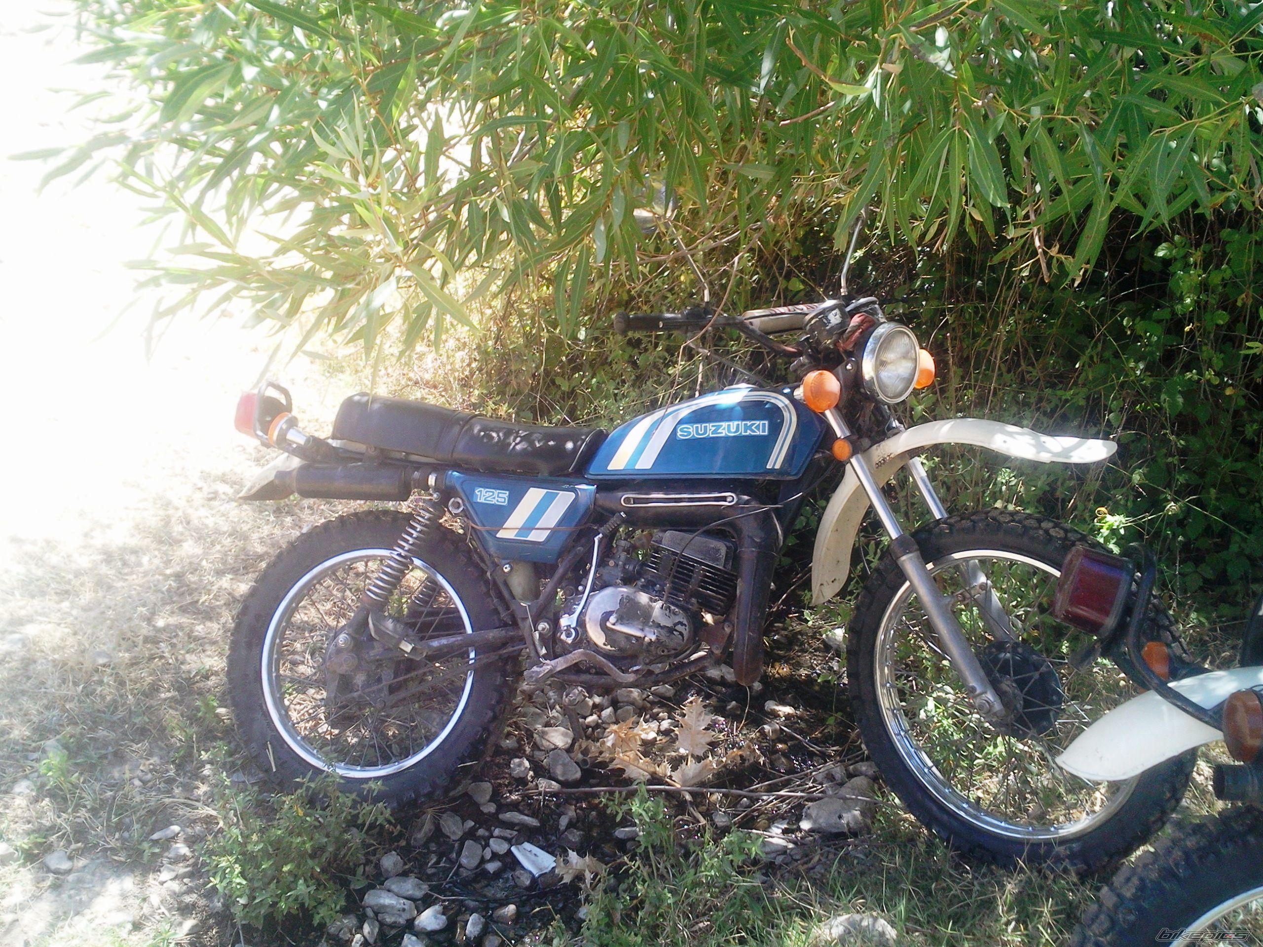 Photo 2440773