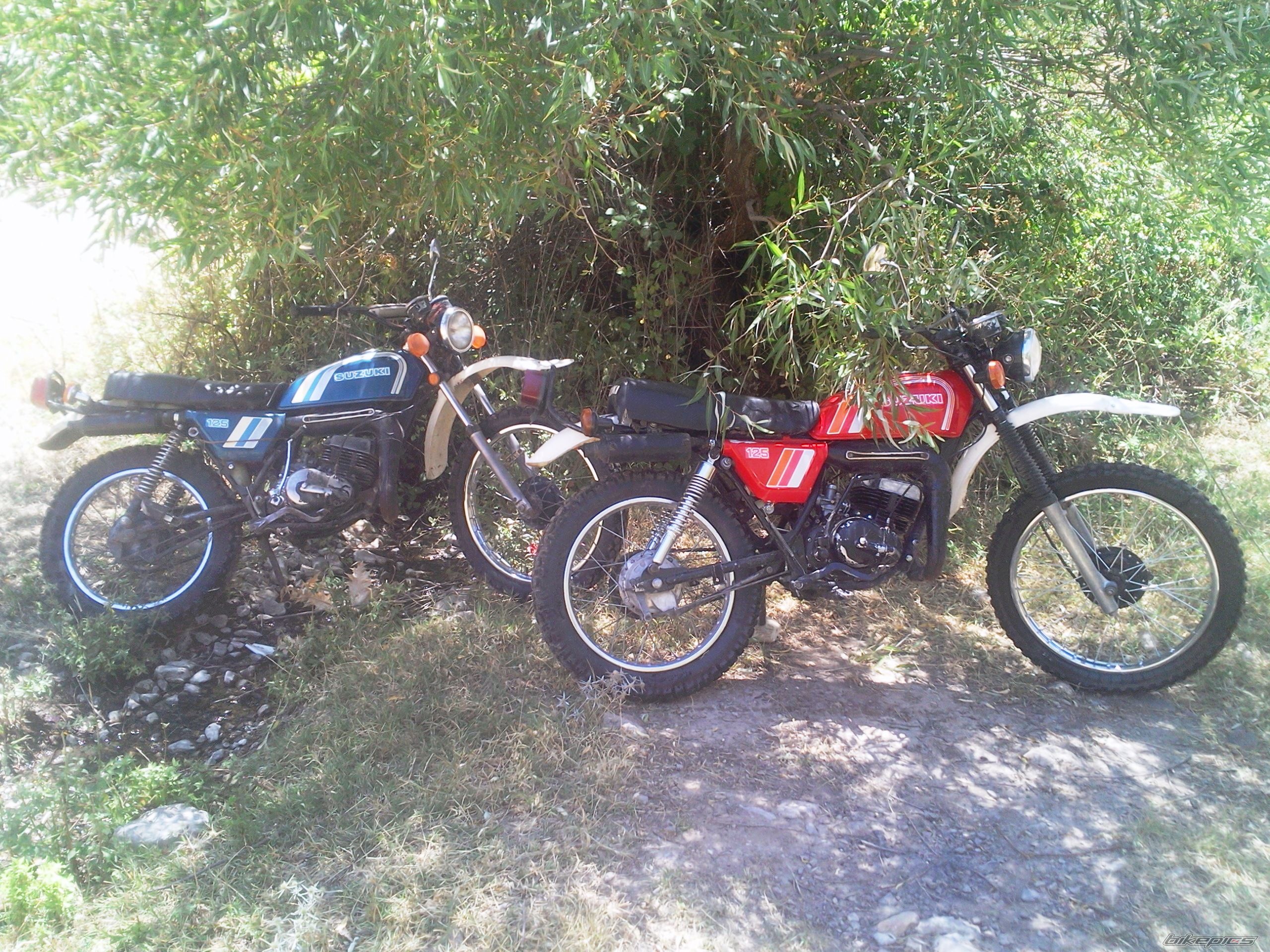 Photo 2440778