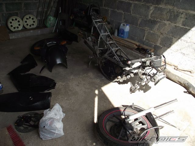 Photo 2440822