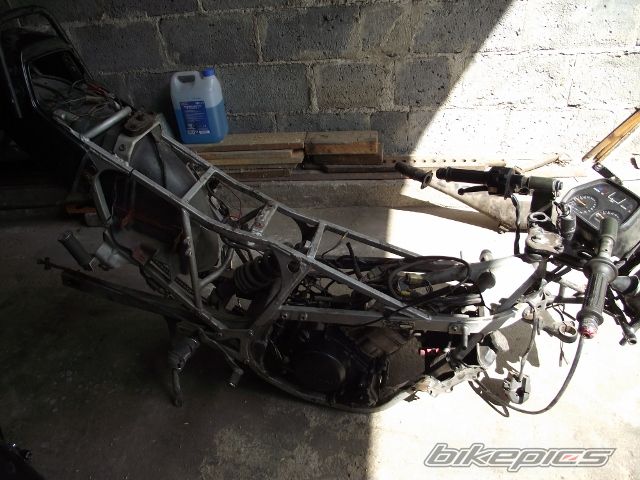 Photo 2440824