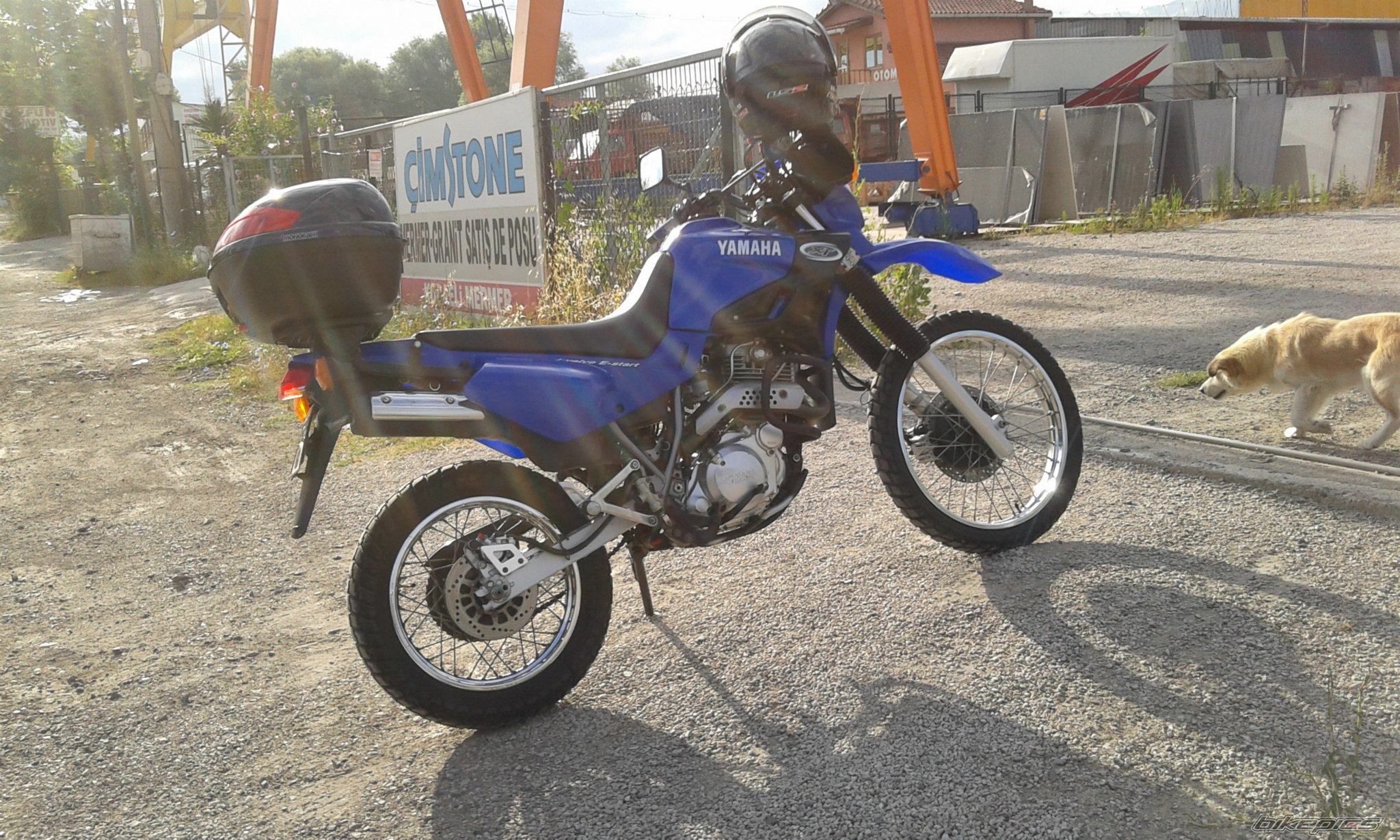 Photo 2440833