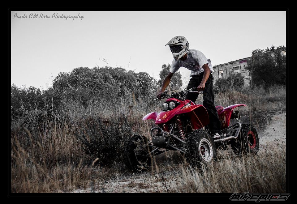 Photo 2440875
