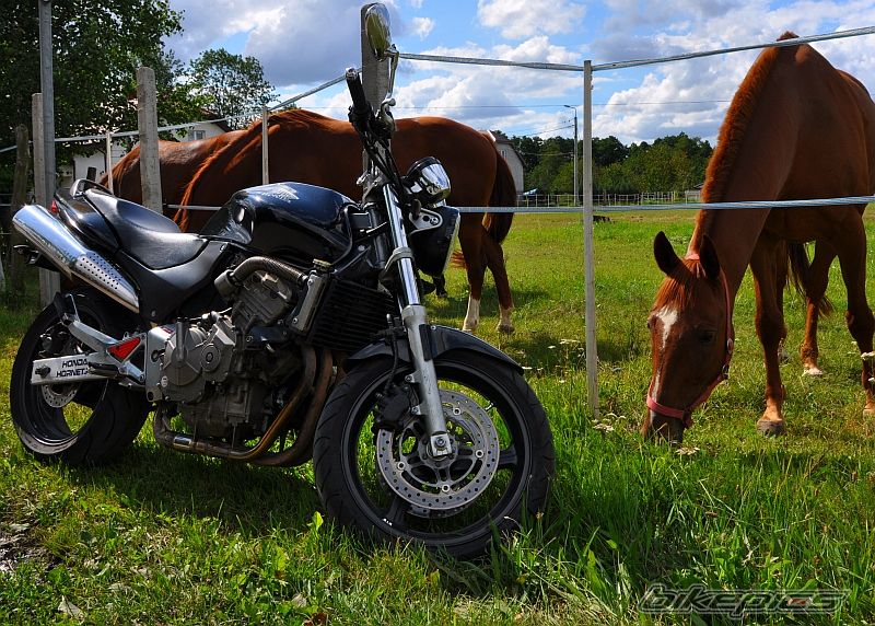 Bike Photo 2440897