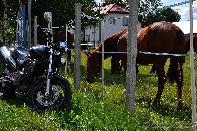 Photo 2440899