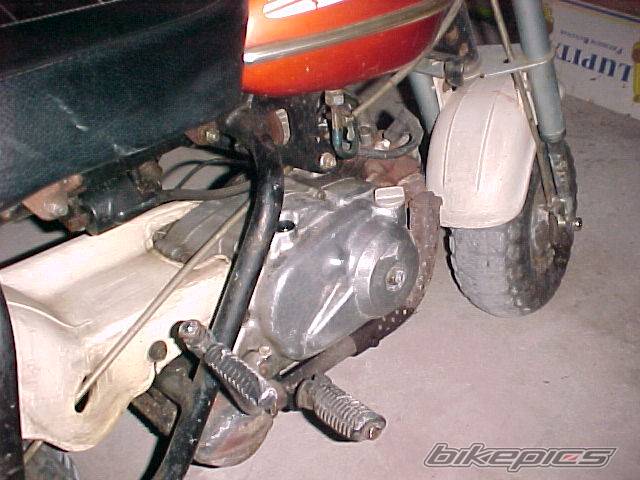 Photo 244099