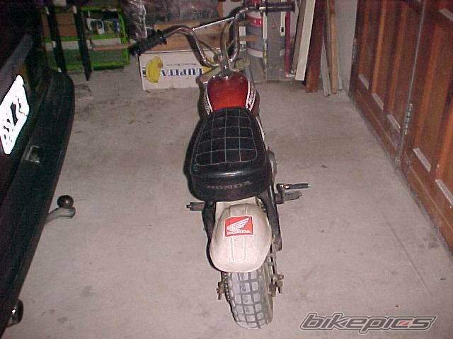Photo 244101