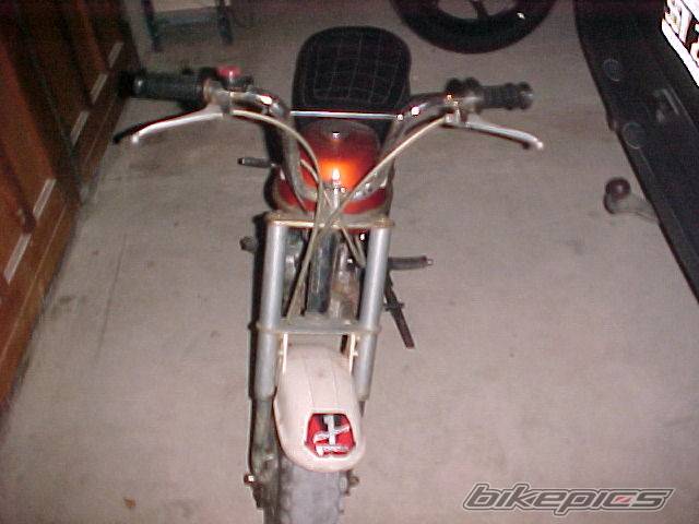 Photo 244103