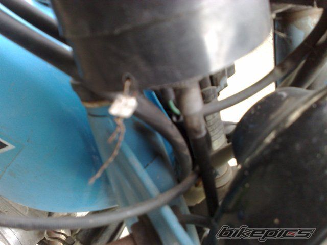 Photo 2441069