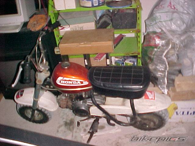 Photo 244109