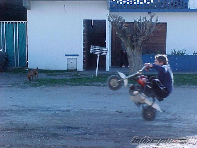 Photo 244111