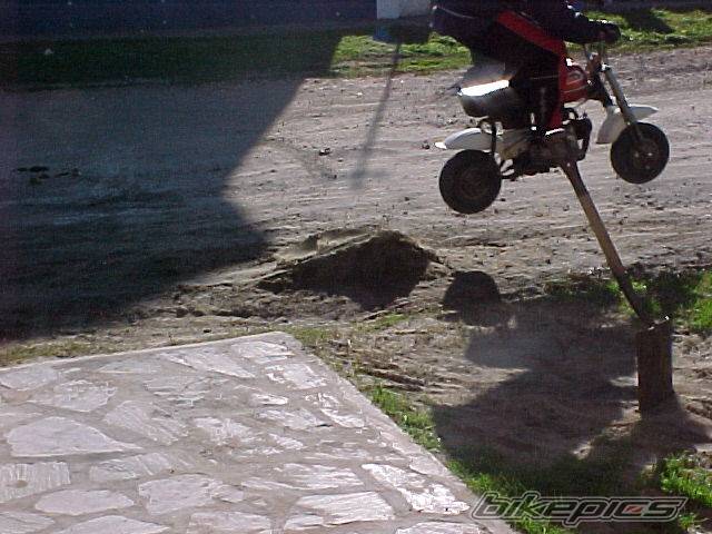 Photo 244113