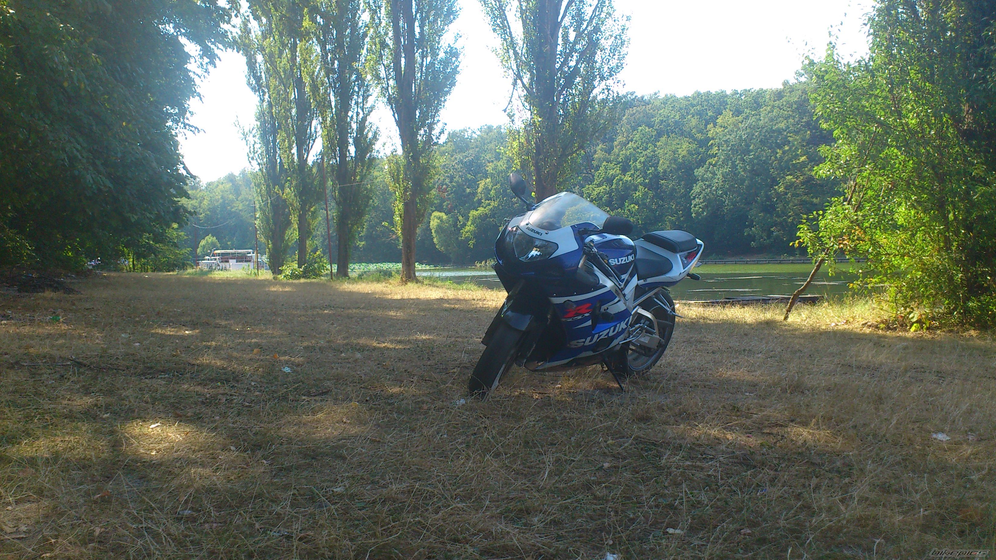 Photo 2441139
