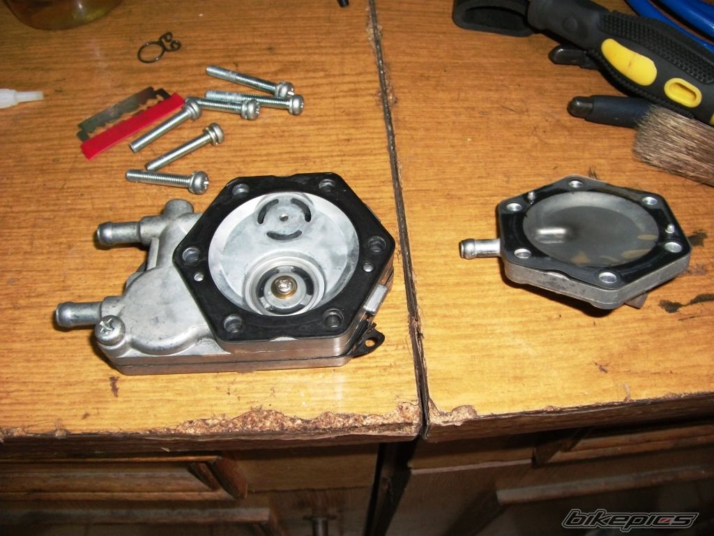 Photo 2441143
