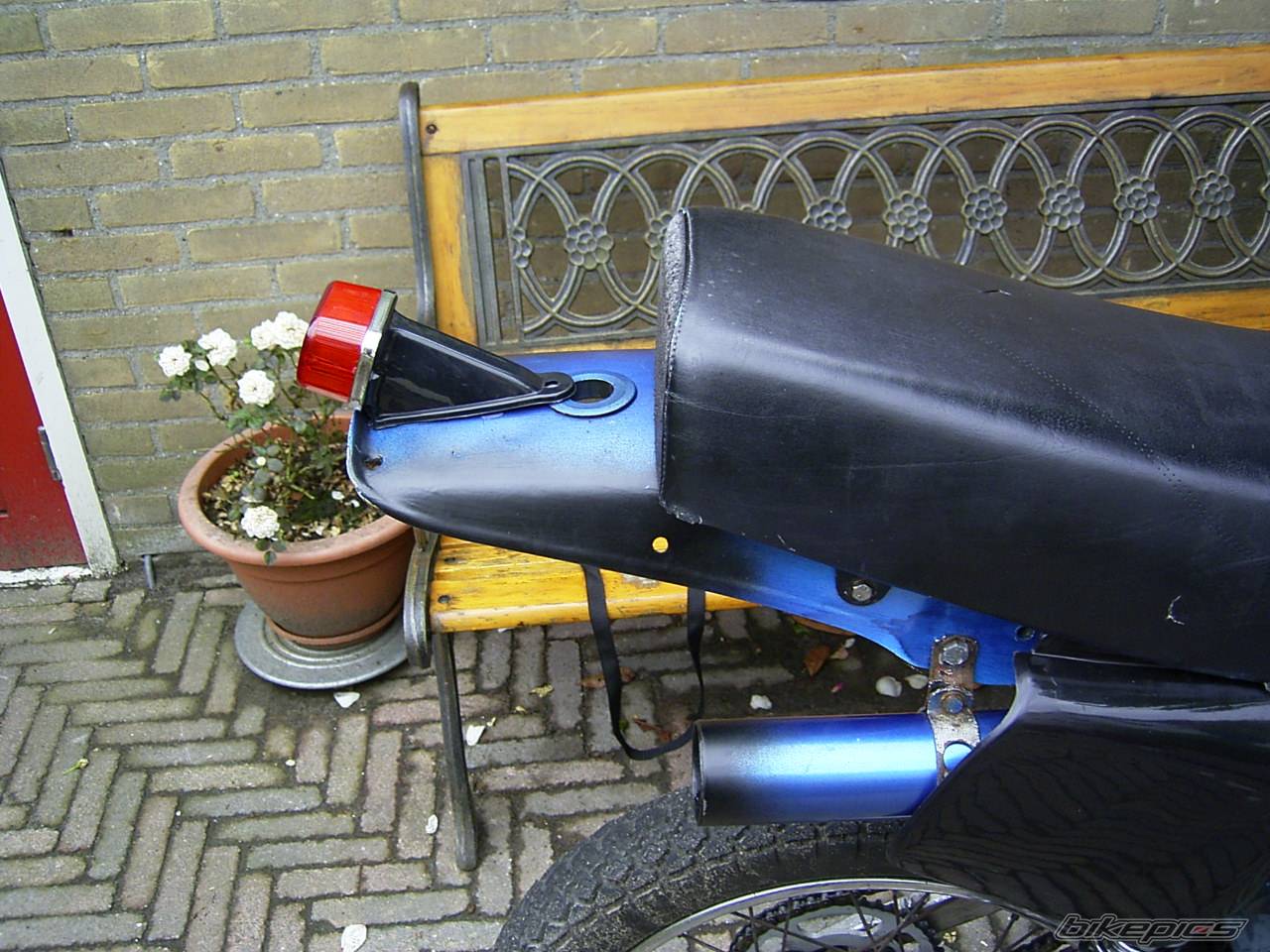 Photo 244115