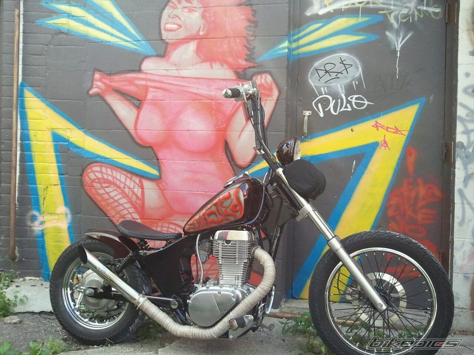 Photo 2441172