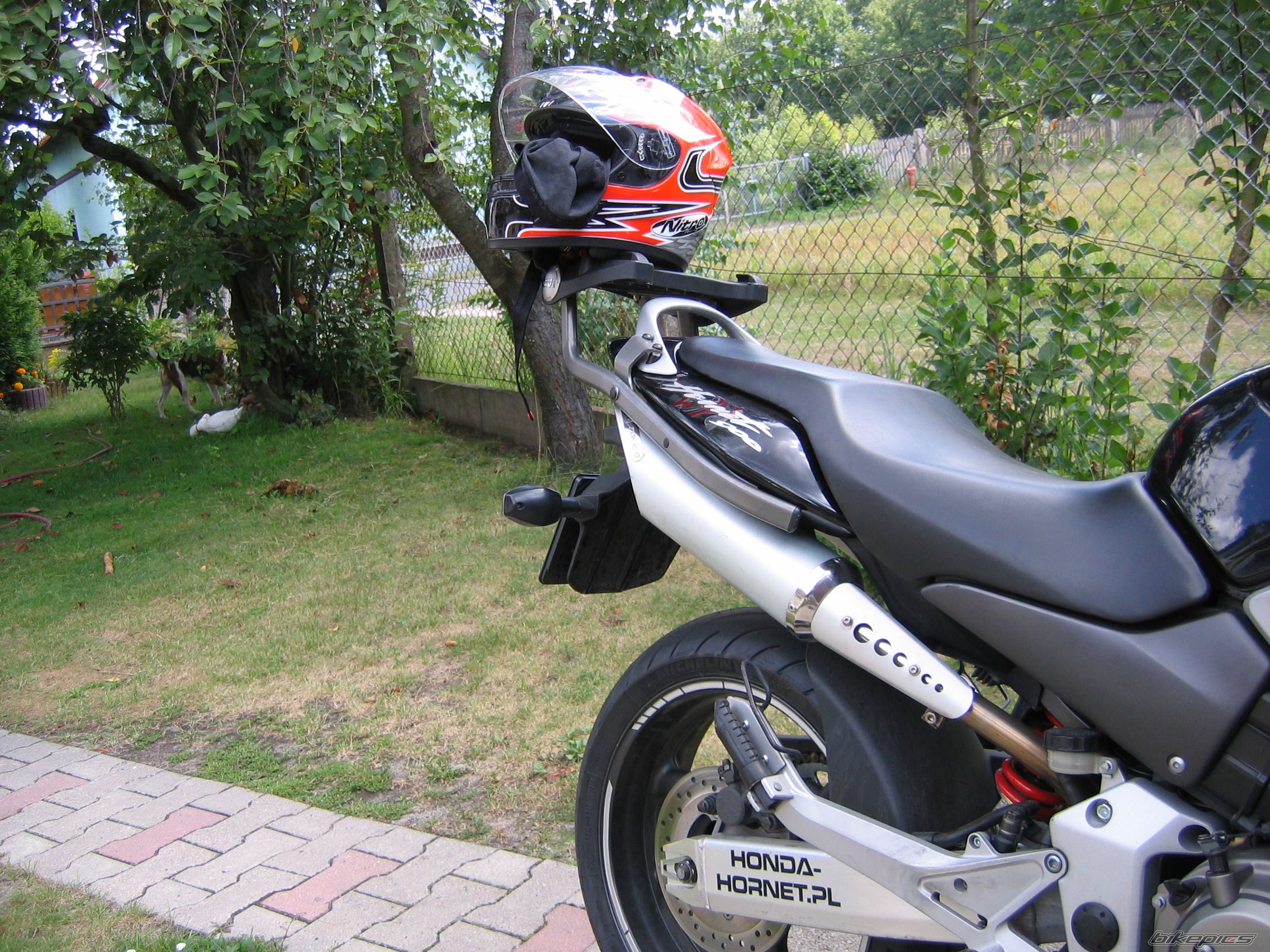 Photo 2441261