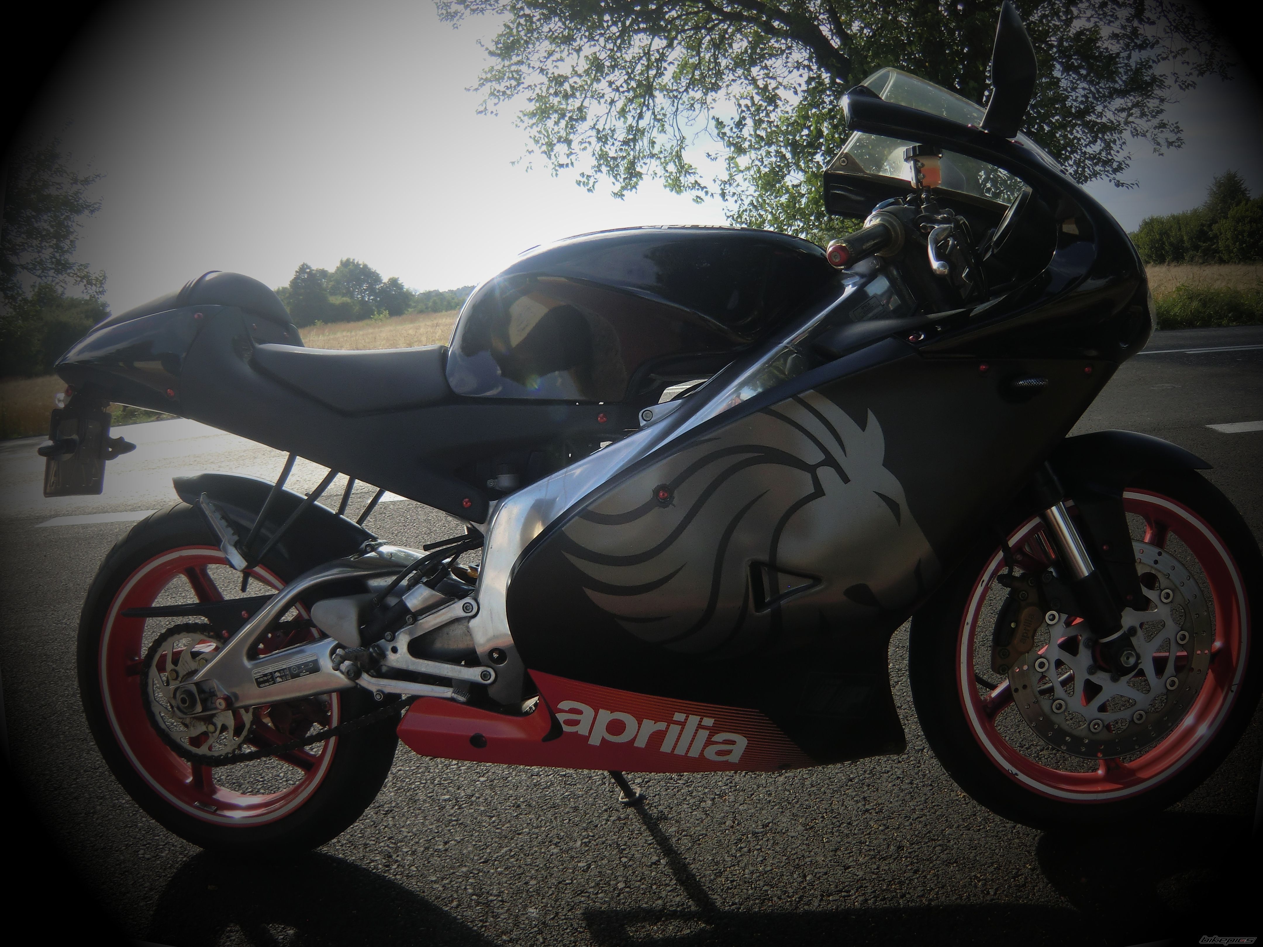 Photo 2442073