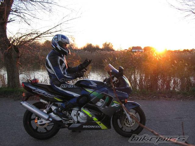 Photo 244212