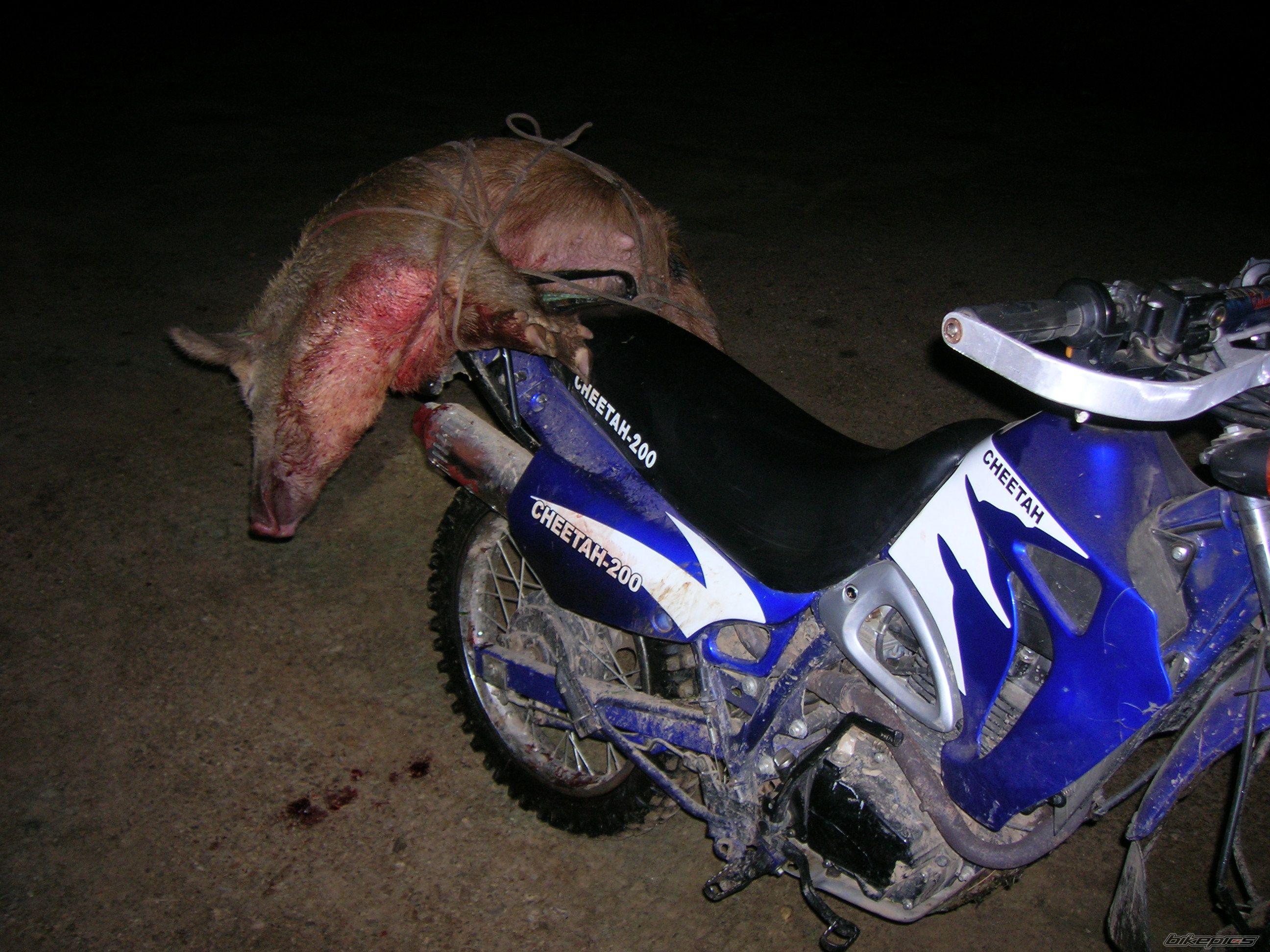Photo 2442125
