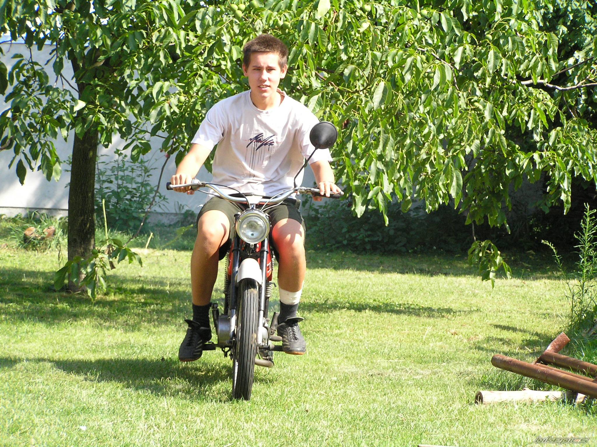 Photo 244213