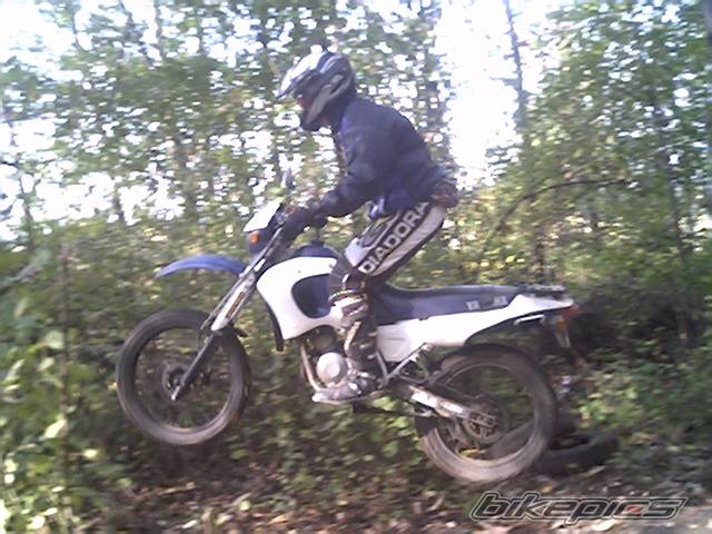 Photo 244232