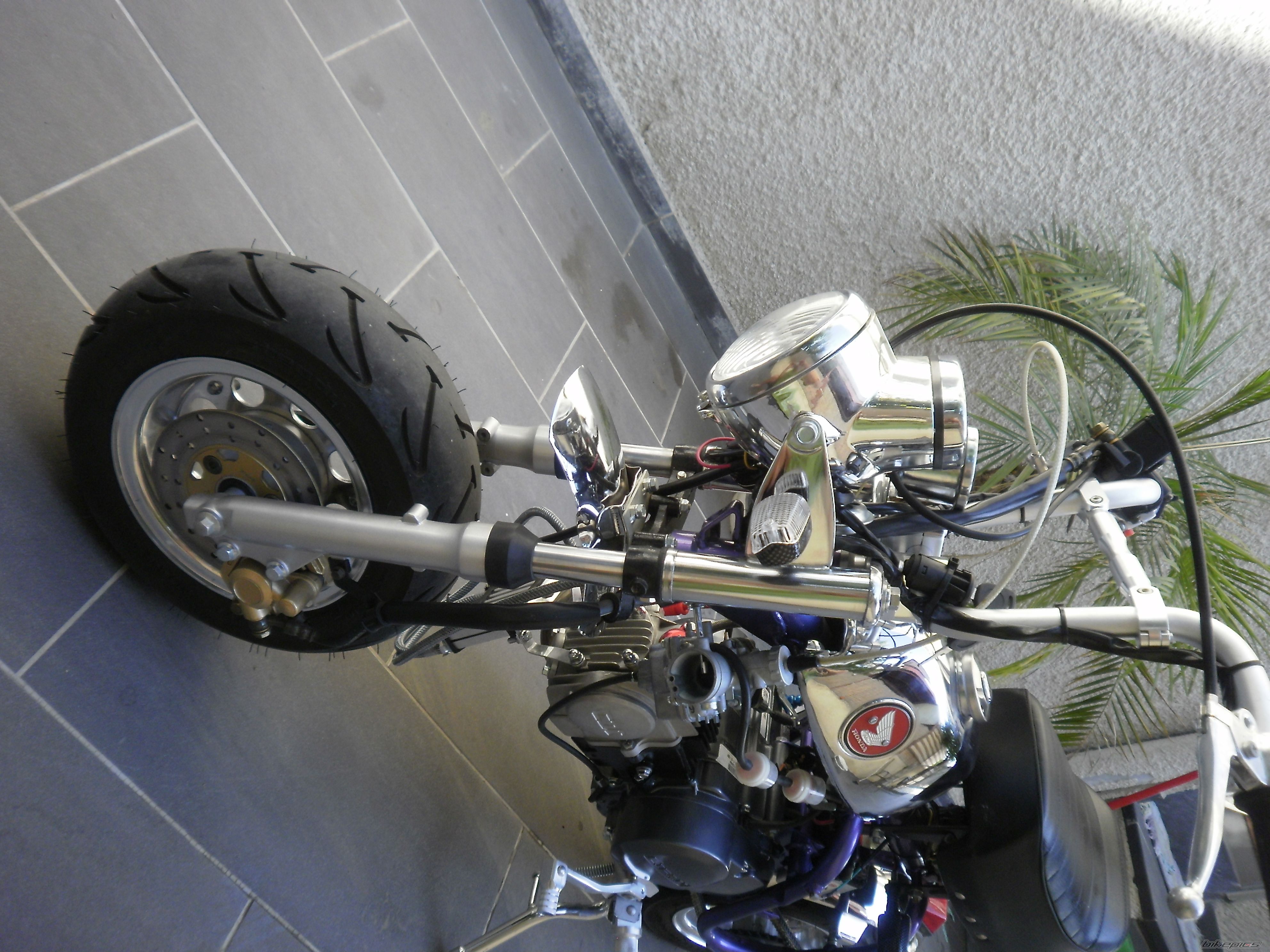 Photo 2442355
