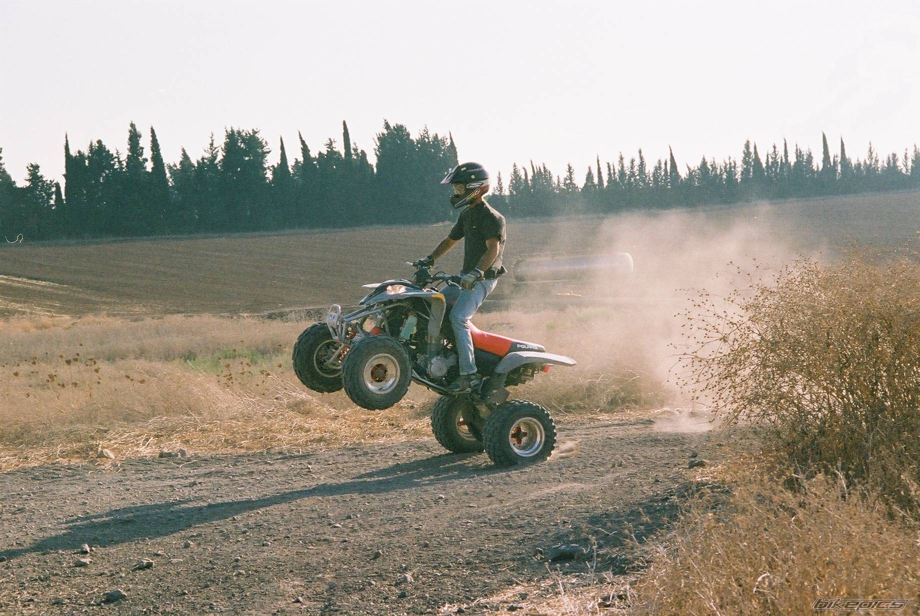 Photo 244236