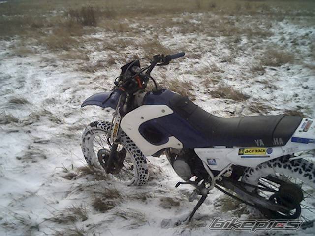 Photo 244237