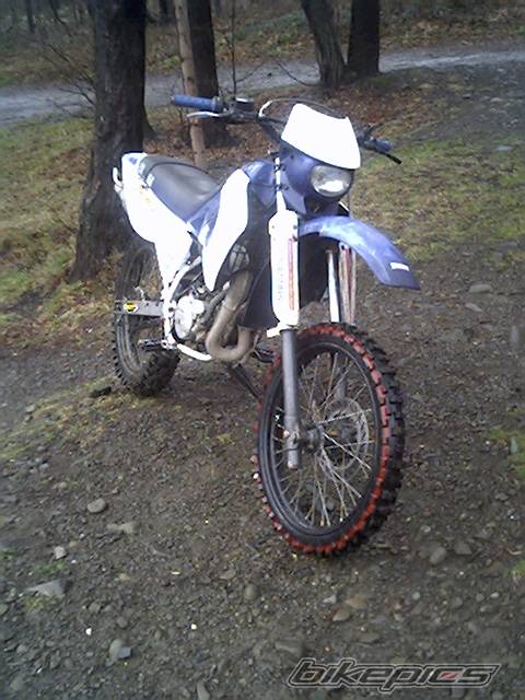 Photo 244238