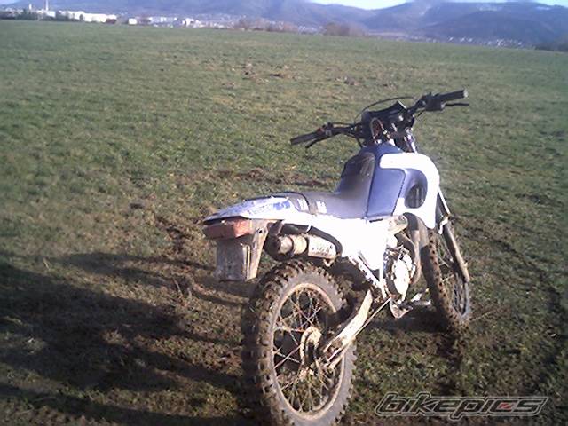 Photo 244239