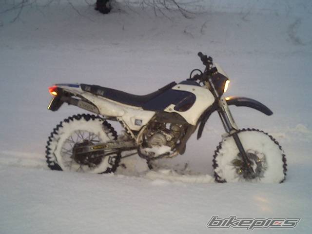 Photo 244240