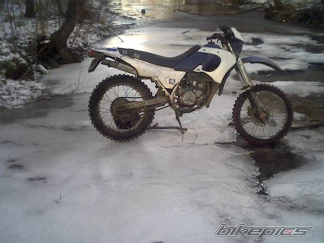 Photo 244241