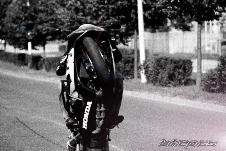 Photo 2442466