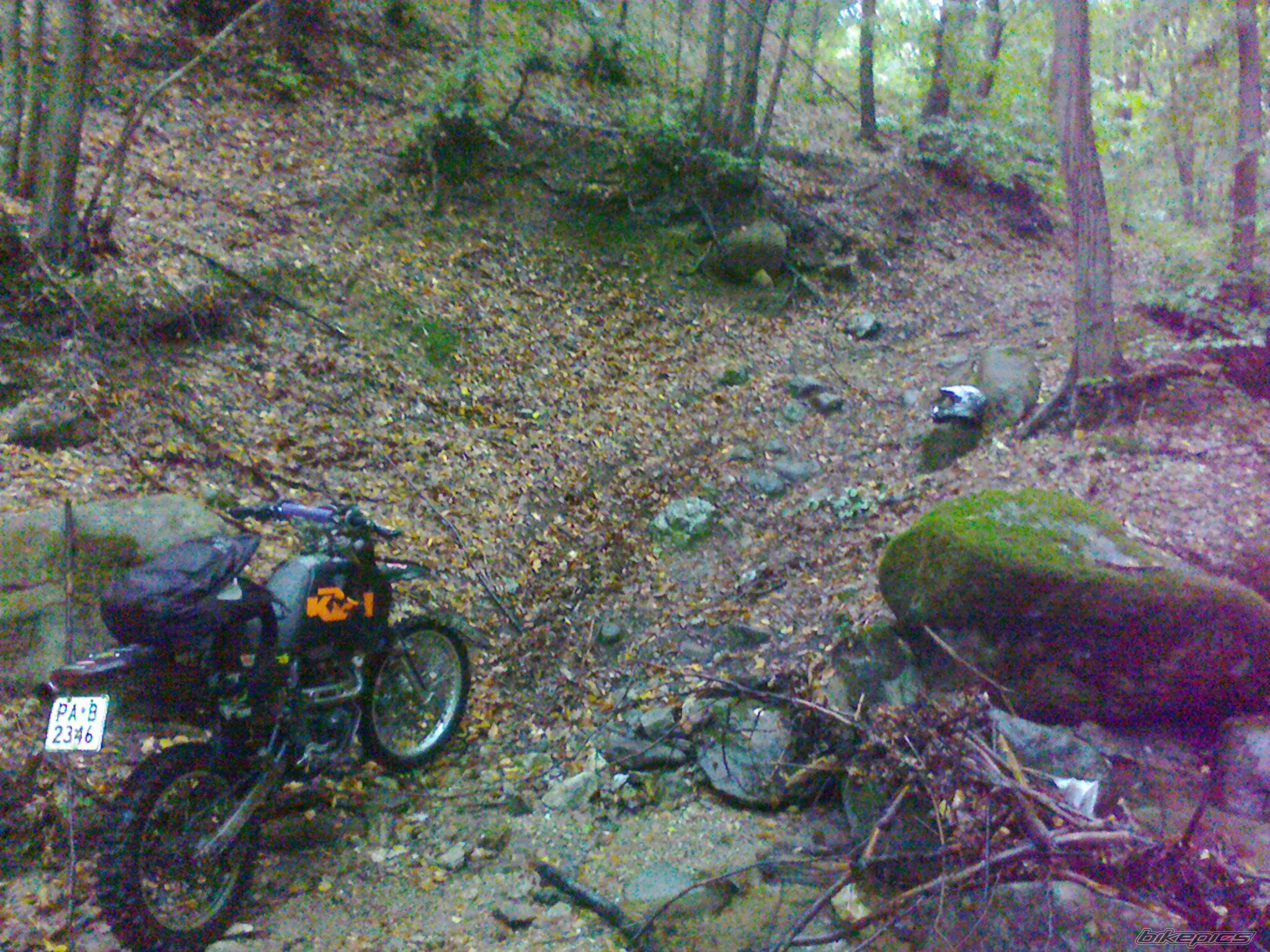 Photo 2442578
