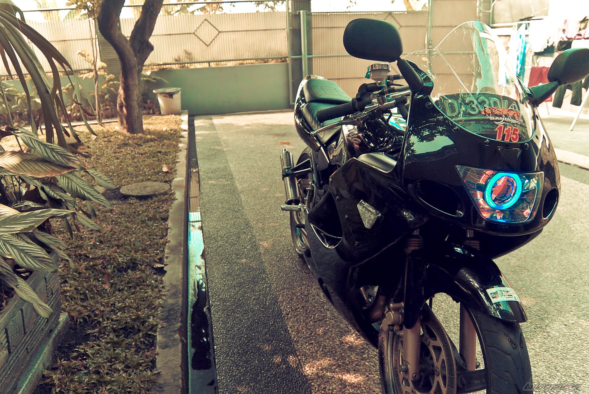 Photo 2442592