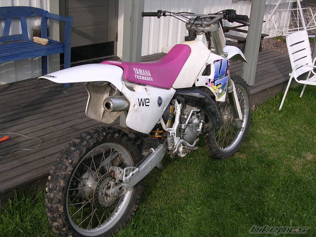 Photo 244262