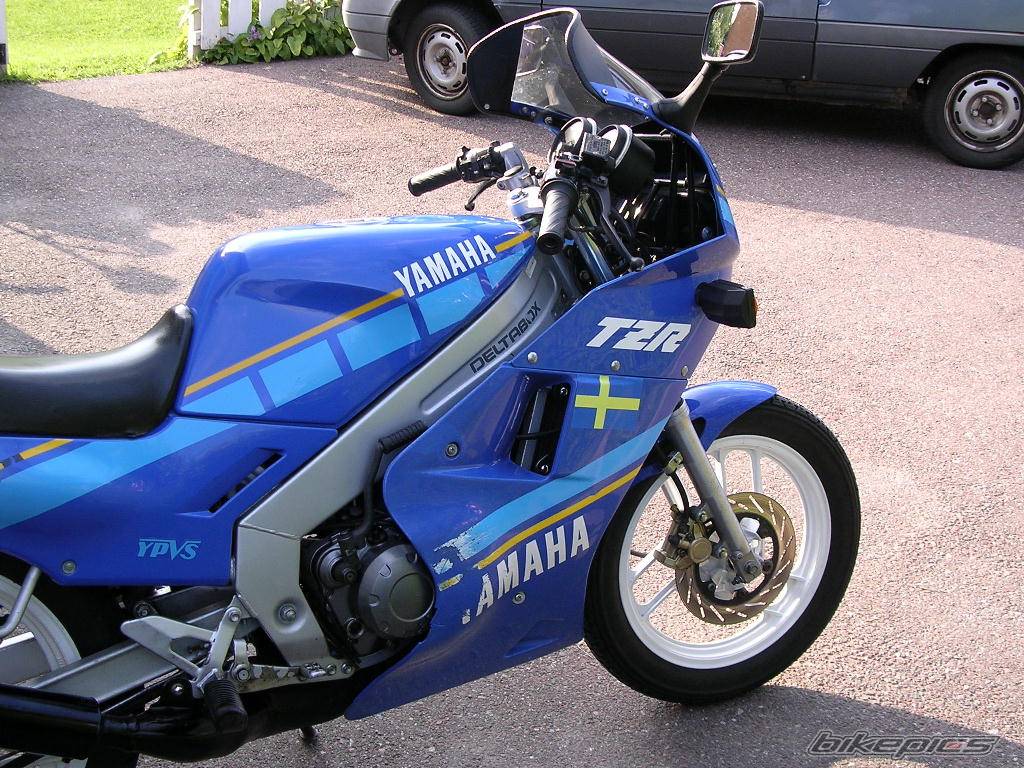 Photo 244263