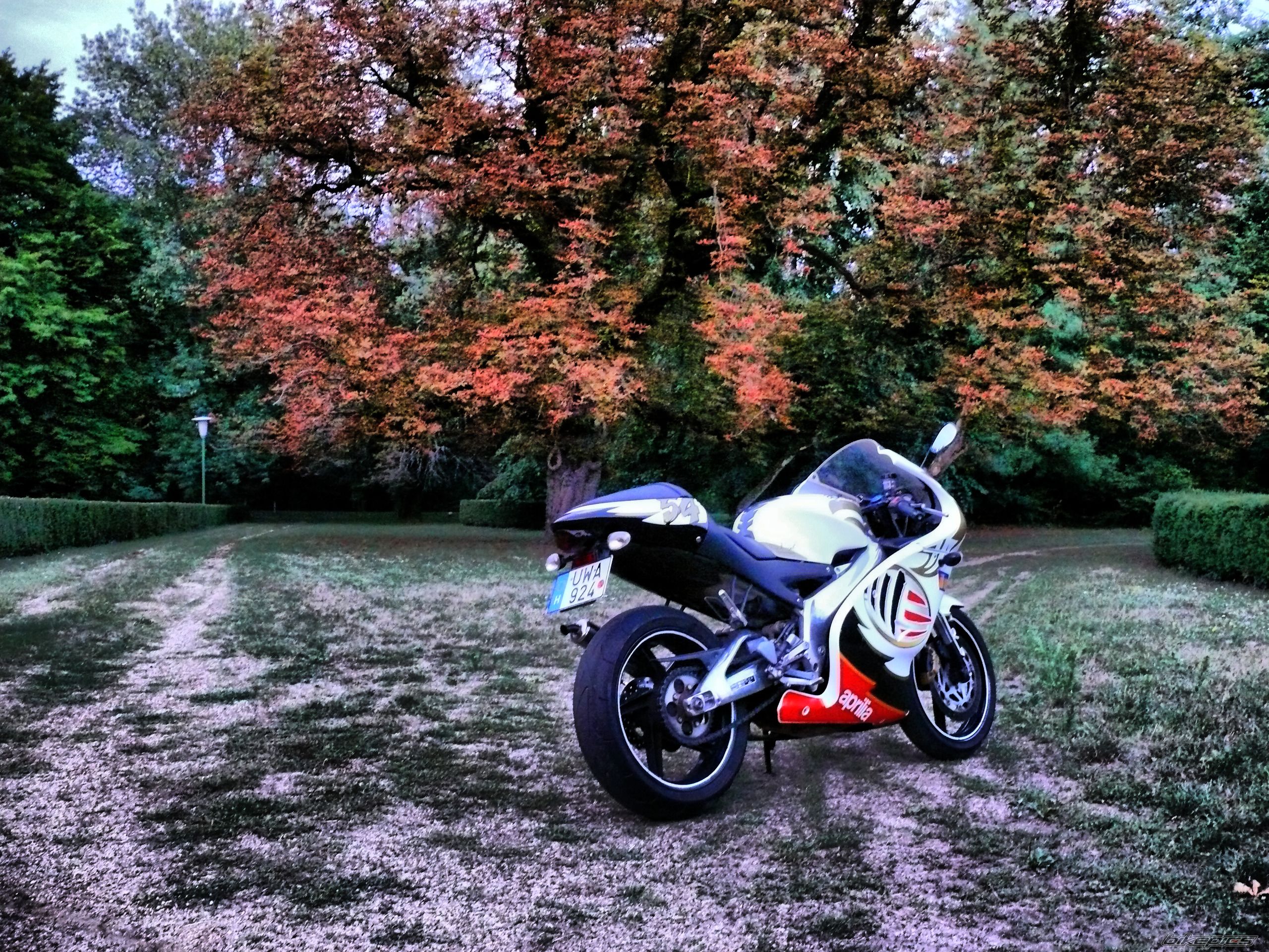 Photo 2442717