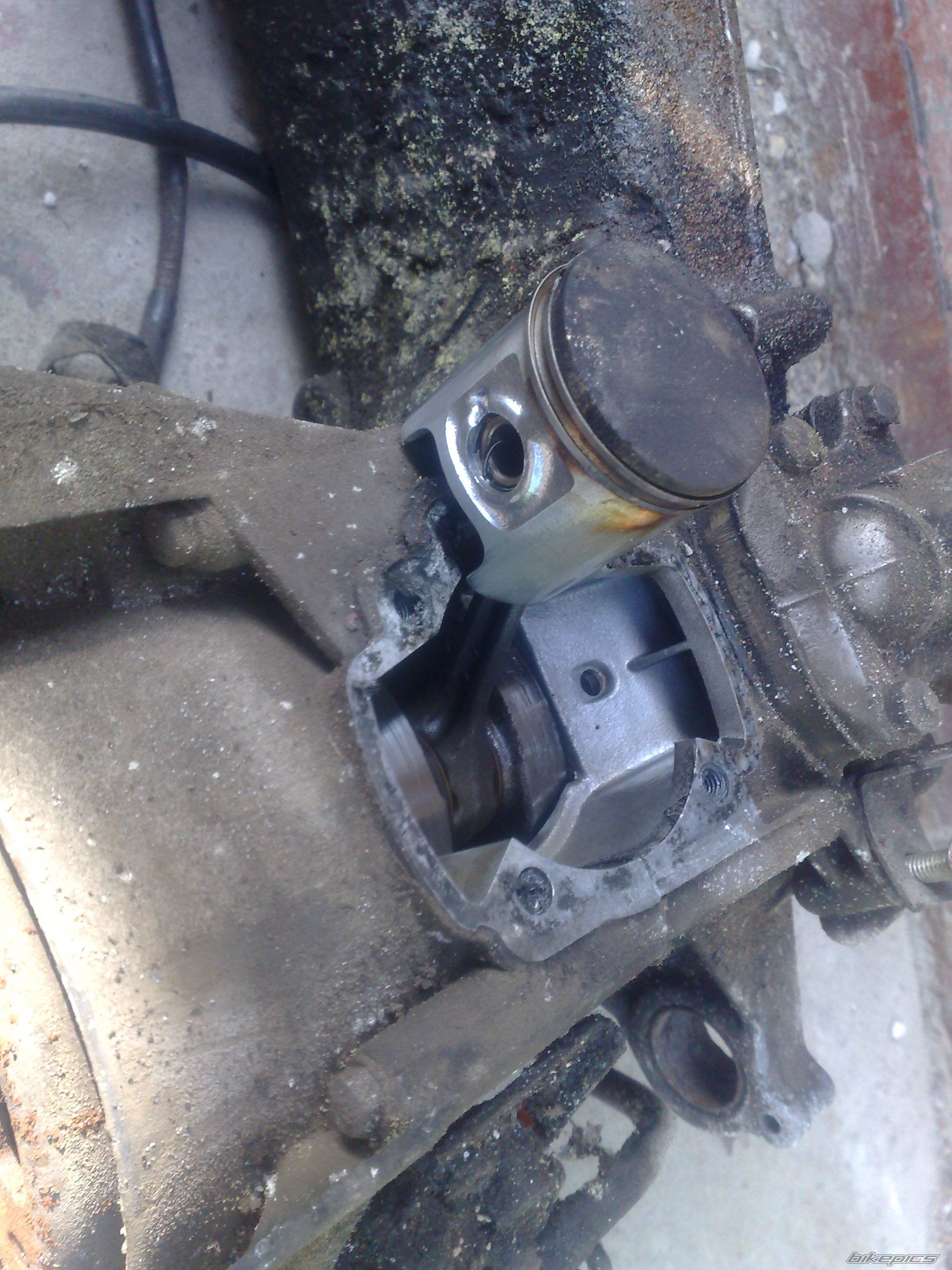Photo 2442781