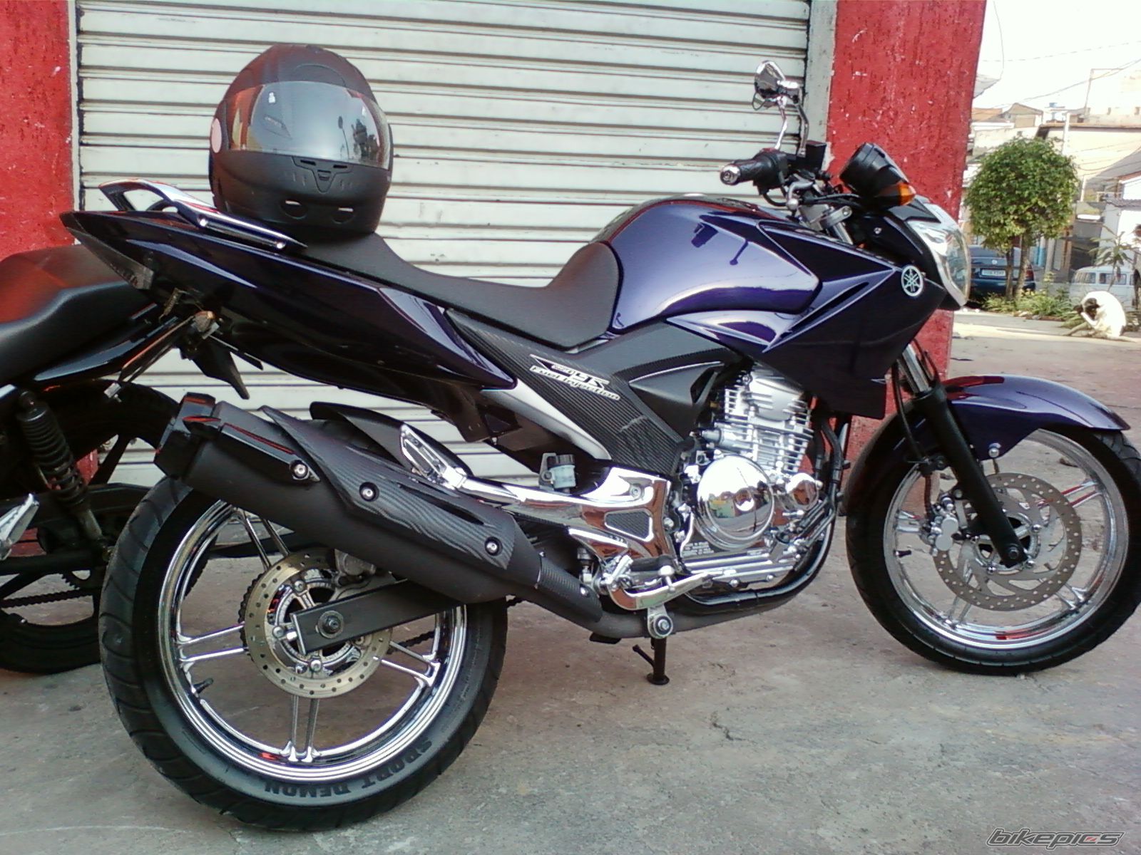 Photo 2442814