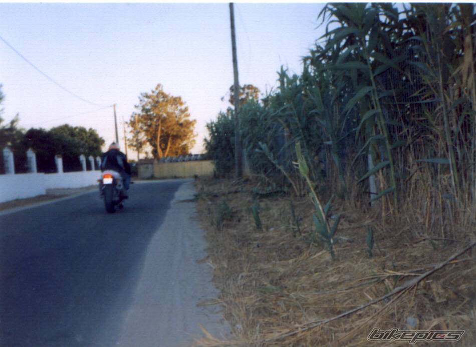Bike Photo 244282