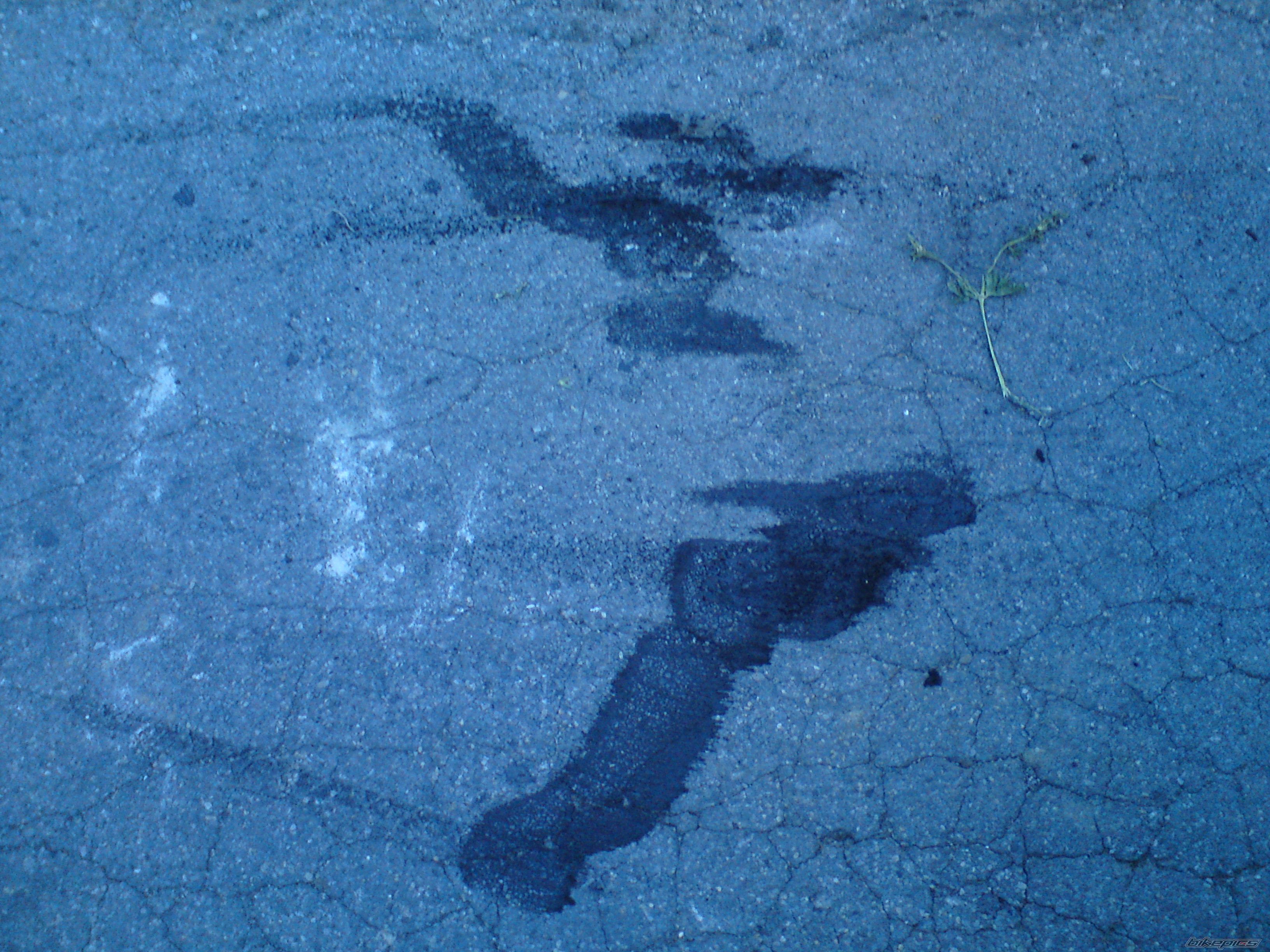 Photo 2442833