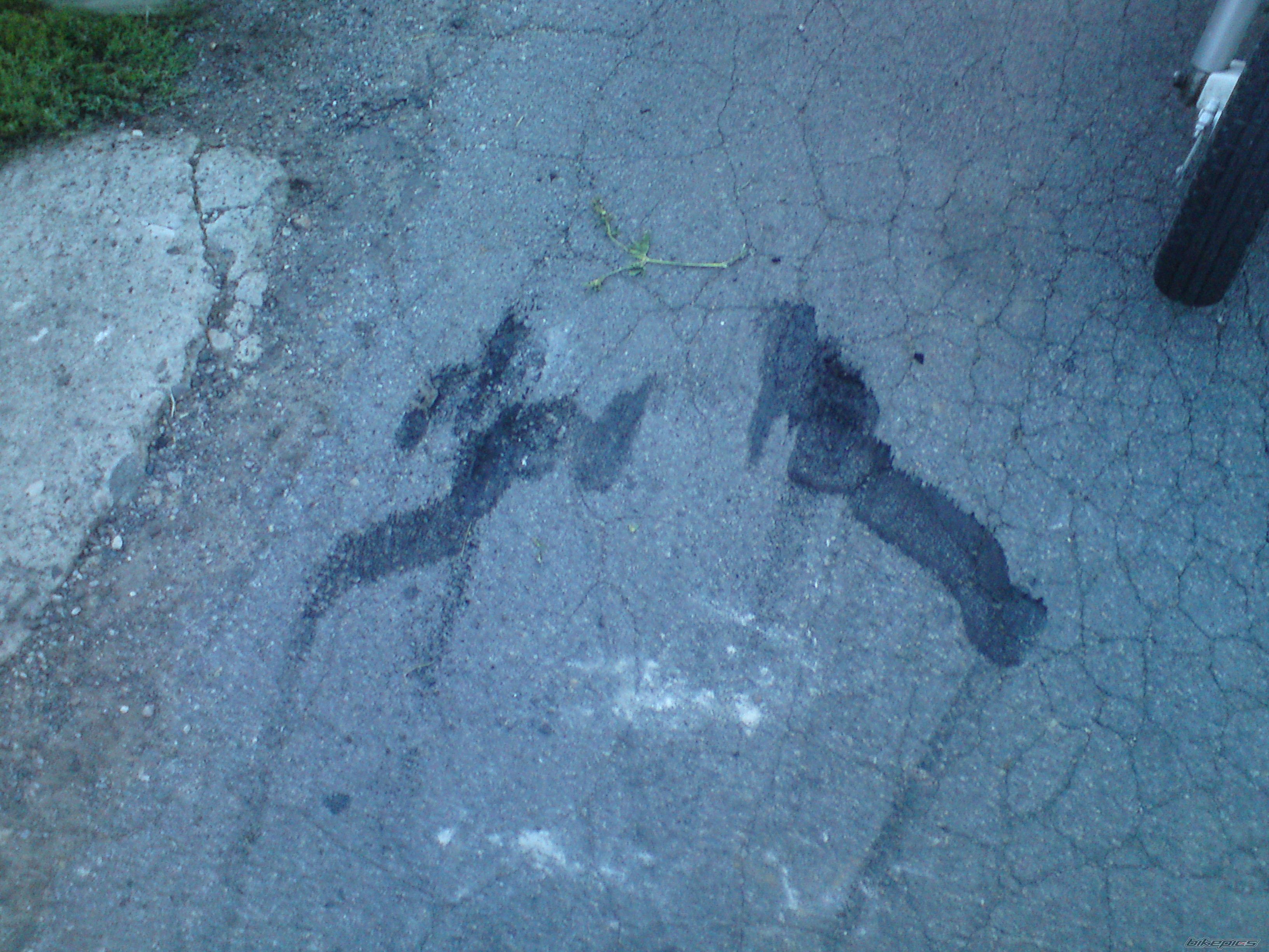 Photo 2442835
